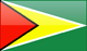 Country flag of Guyana