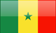 Country flag of Senegal Republic