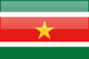 Country flag of Suriname